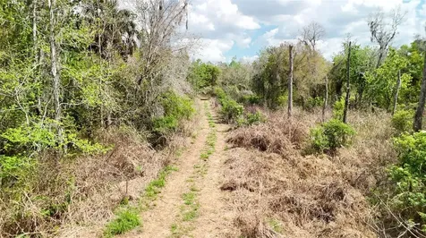 Gillette Road Zolfo Springs FL 33890