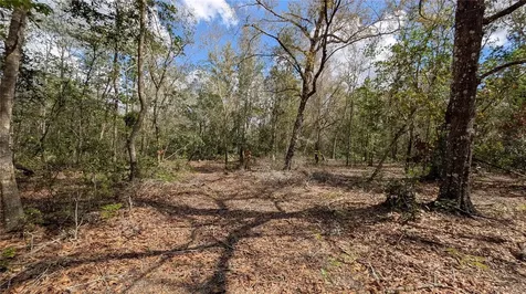 Gillette Road Zolfo Springs FL 33890