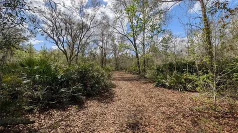 Gillette Road Zolfo Springs FL 33890