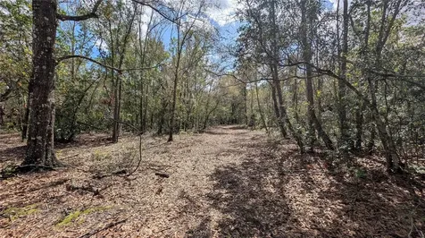 Gillette Road Zolfo Springs FL 33890