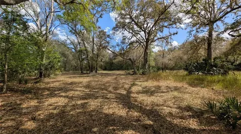 Gillette Road Zolfo Springs FL 33890