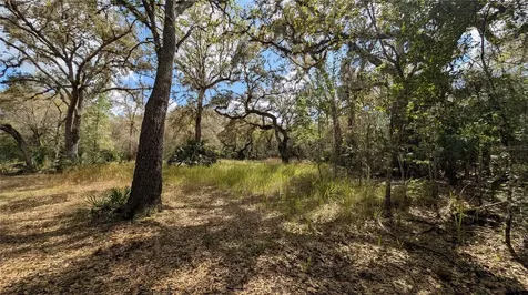 Gillette Road Zolfo Springs FL 33890