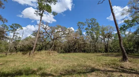 Gillette Road Zolfo Springs FL 33890