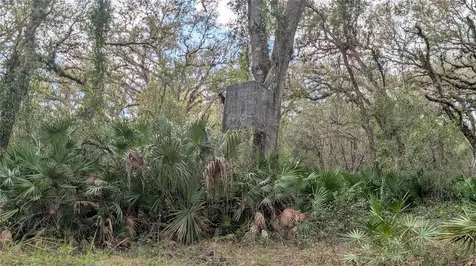 Gillette Road Zolfo Springs FL 33890