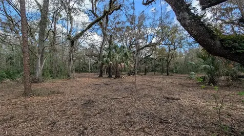 Gillette Road Zolfo Springs FL 33890