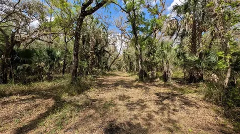 Gillette Road Zolfo Springs FL 33890