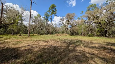 Gillette Road Zolfo Springs FL 33890