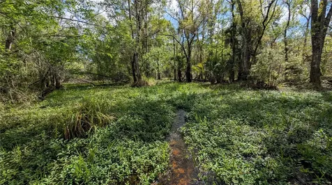 Gillette Road Zolfo Springs FL 33890