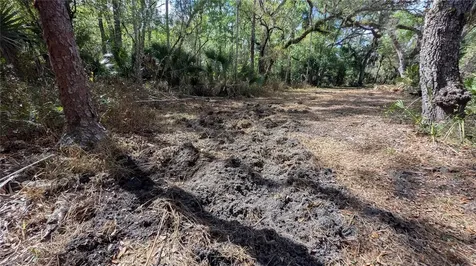 Gillette Road Zolfo Springs FL 33890