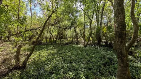 Gillette Road Zolfo Springs FL 33890