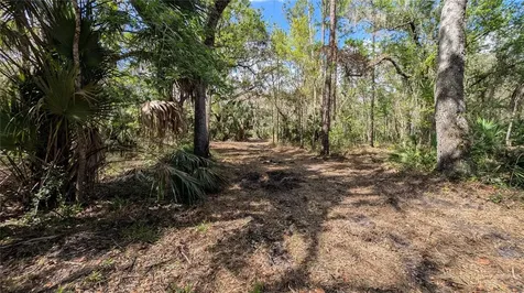Gillette Road Zolfo Springs FL 33890