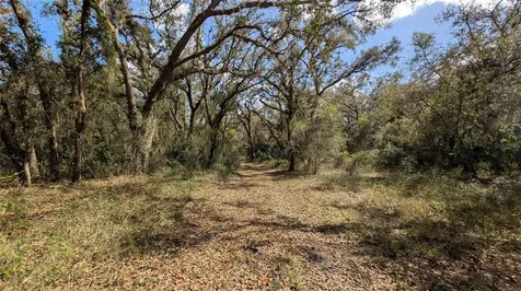 Gillette Road Zolfo Springs FL 33890