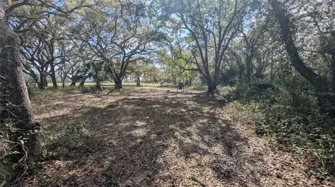 Gillette Road Zolfo Springs FL 33890