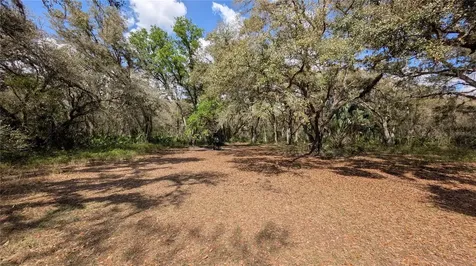 Gillette Road Zolfo Springs FL 33890