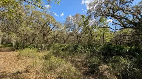 Gillette Road Zolfo Springs FL 33890
