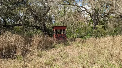 Gillette Road Zolfo Springs FL 33890