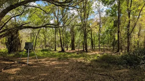 Gillette Road Zolfo Springs FL 33890