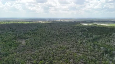 Gillette Road Zolfo Springs FL 33890