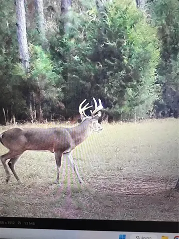 Gillette Road Zolfo Springs FL 33890