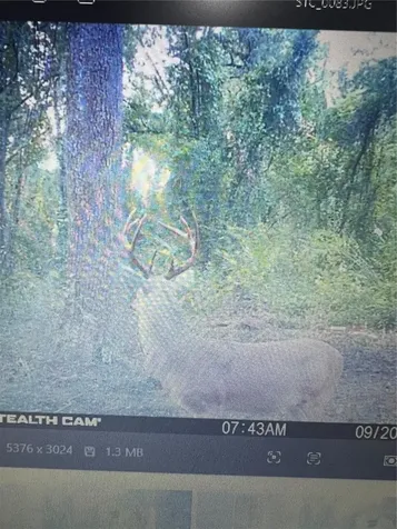 Gillette Road Zolfo Springs FL 33890
