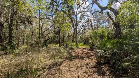 Gillette Road Zolfo Springs FL 33890