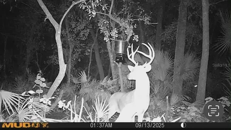 Gillette Road Zolfo Springs FL 33890