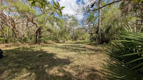 Gillette Road Zolfo Springs FL 33890