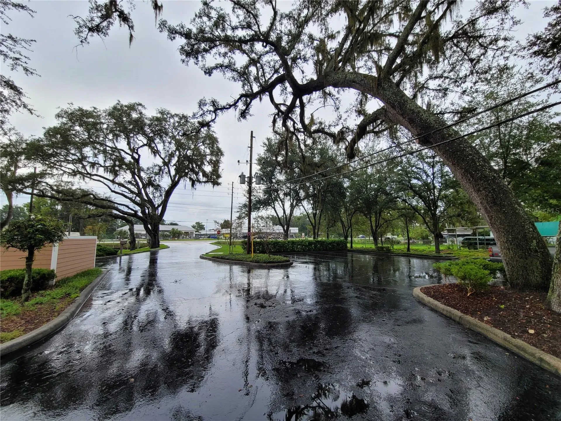 37310 Pure Water Way Zephyrhills FL 33542