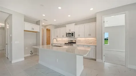 4411 Spoon Blade Drive Parrish FL 34219