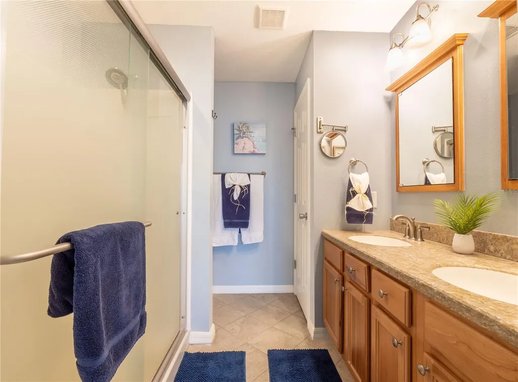 2201 Balsa Court The Villages FL 32162