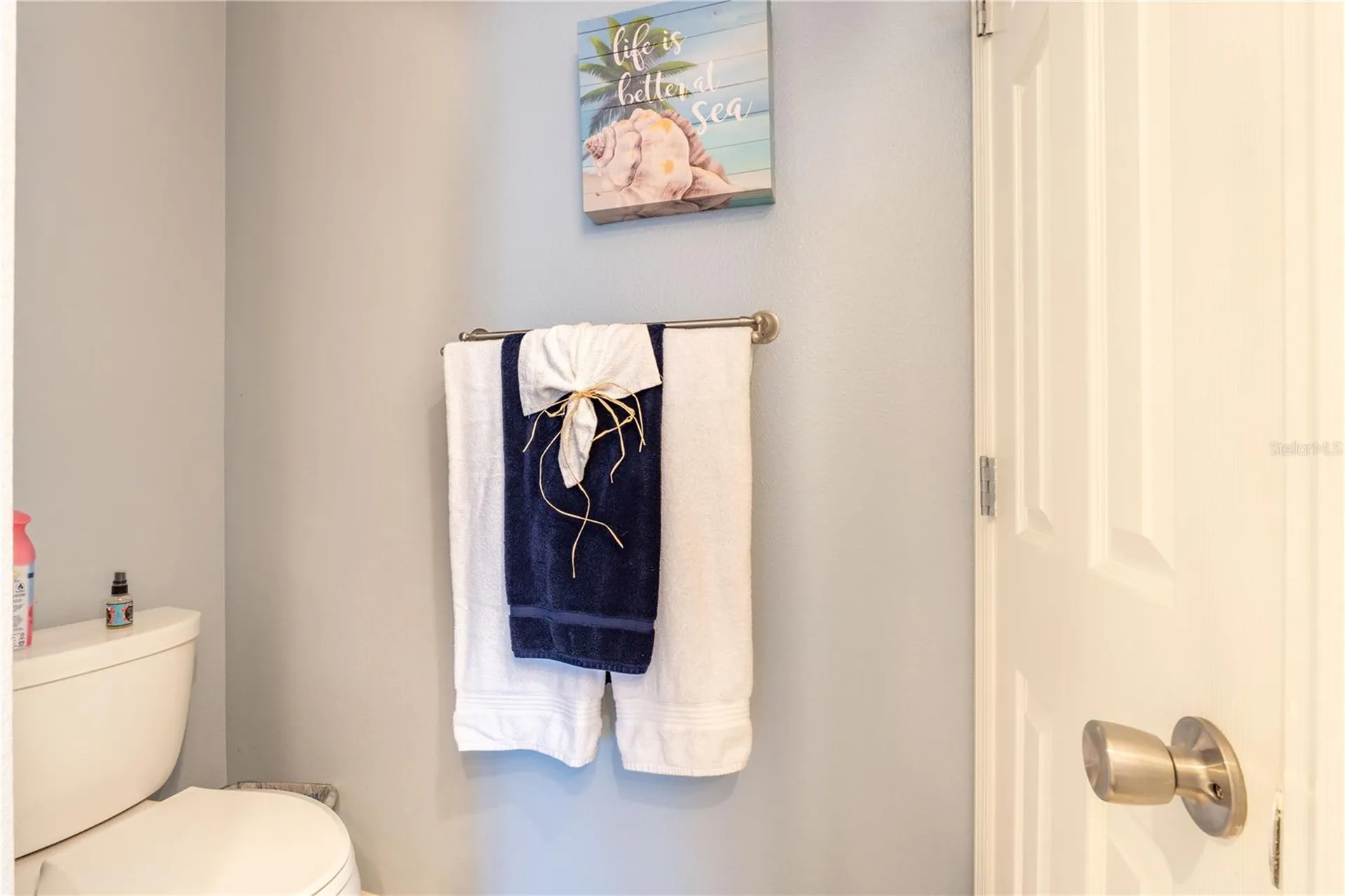2201 Balsa Court The Villages FL 32162