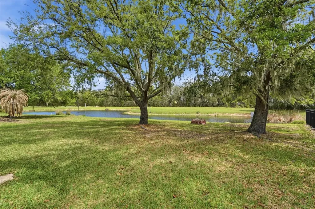 6407 Bridgecrest Drive Lithia FL 33547