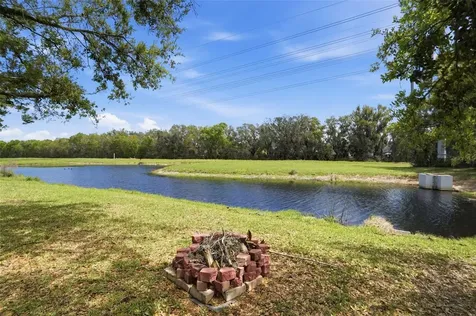 6407 Bridgecrest Drive Lithia FL 33547