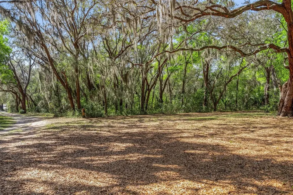2917 Lake Griffin Road Lady Lake FL 32159