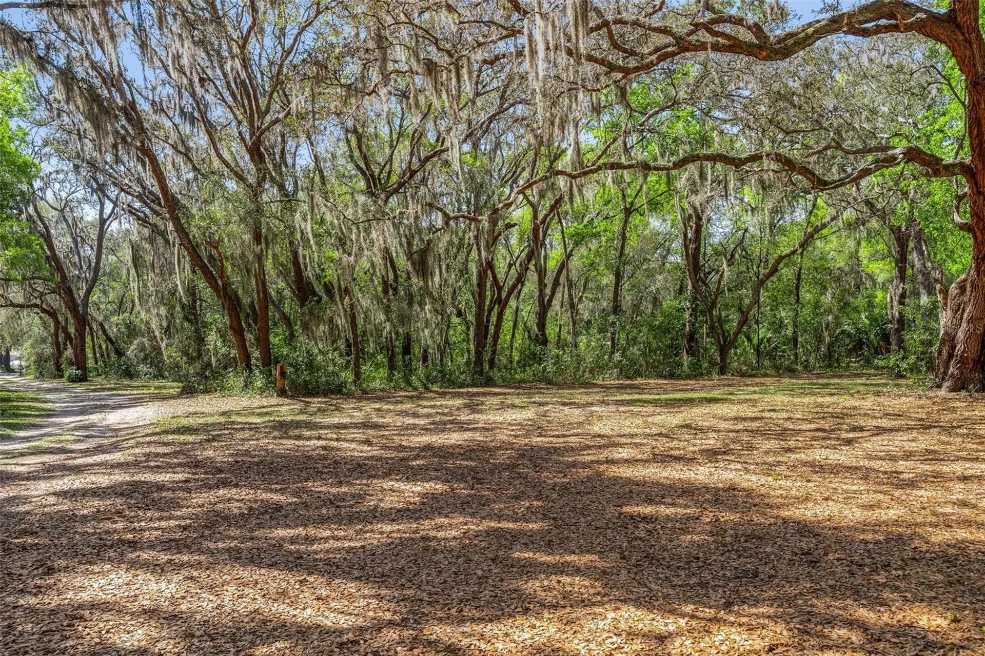 2917 Lake Griffin Road Lady Lake FL 32159