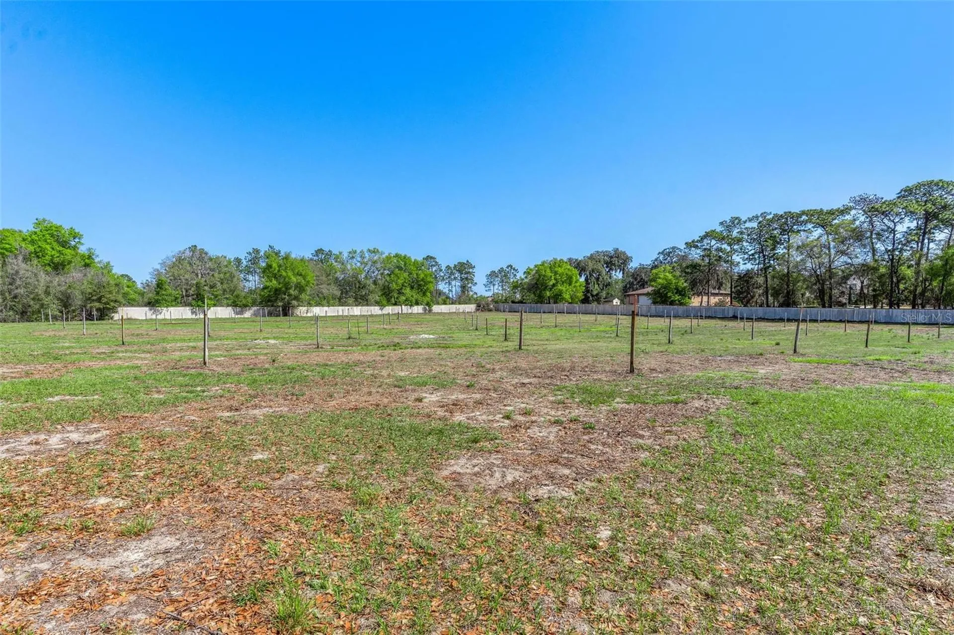 2917 Lake Griffin Road Lady Lake FL 32159