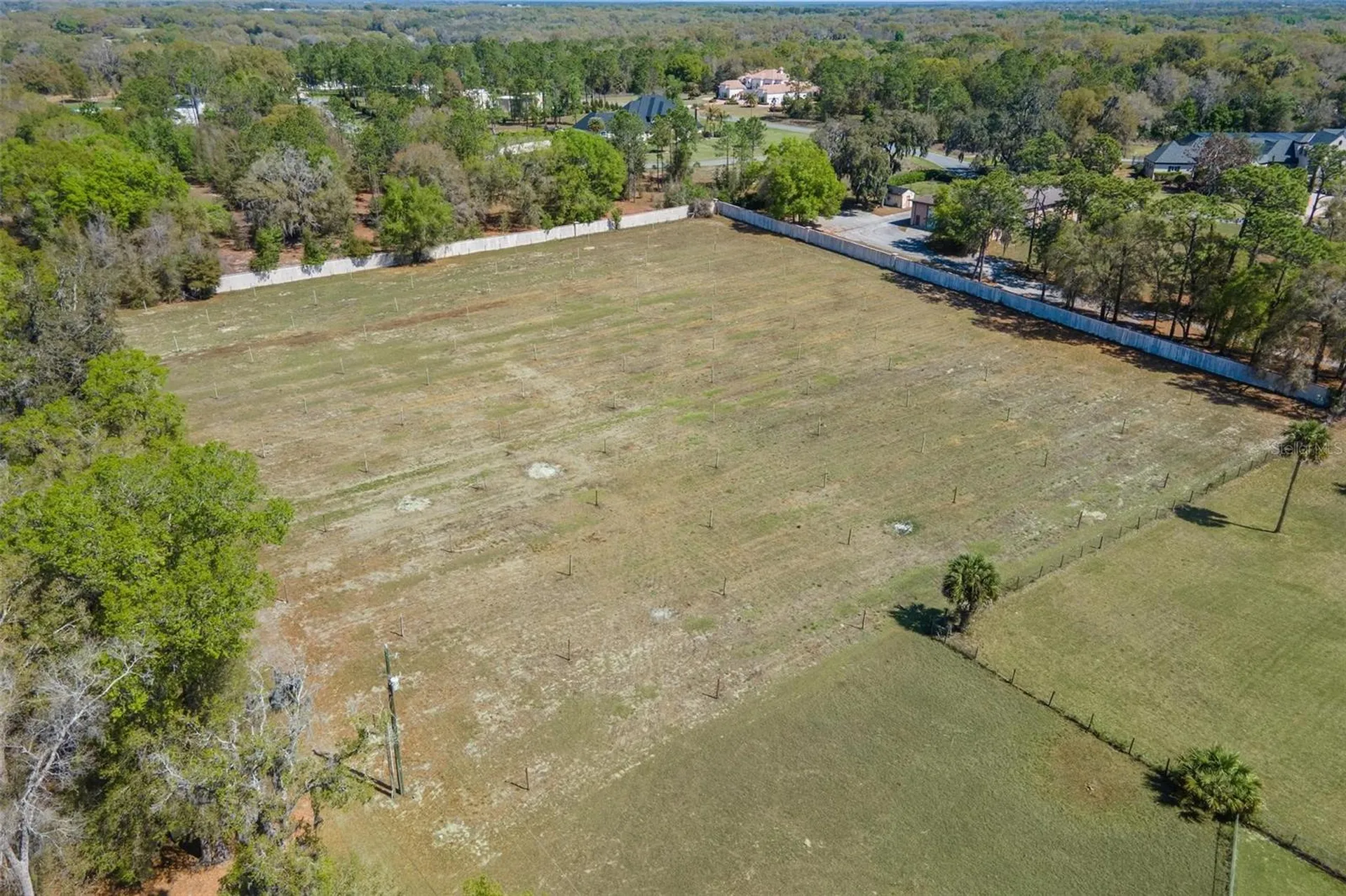 2917 Lake Griffin Road Lady Lake FL 32159