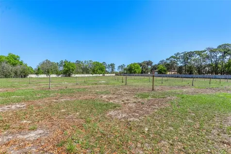 2917 Lake Griffin Road Lady Lake FL 32159