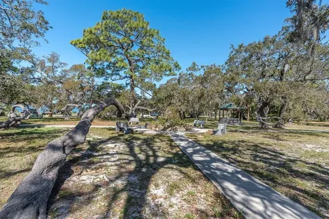 137 Pennsylvania Avenue Palm Harbor FL 34683