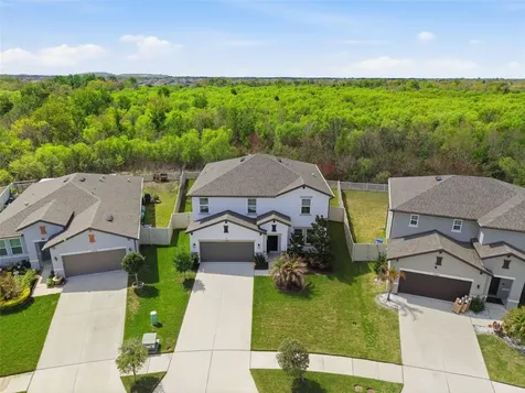 13530 Palmera Vista Drive Riverview FL 33579