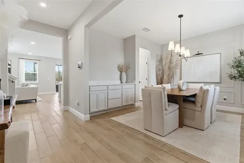 13530 Palmera Vista Drive Riverview FL 33579