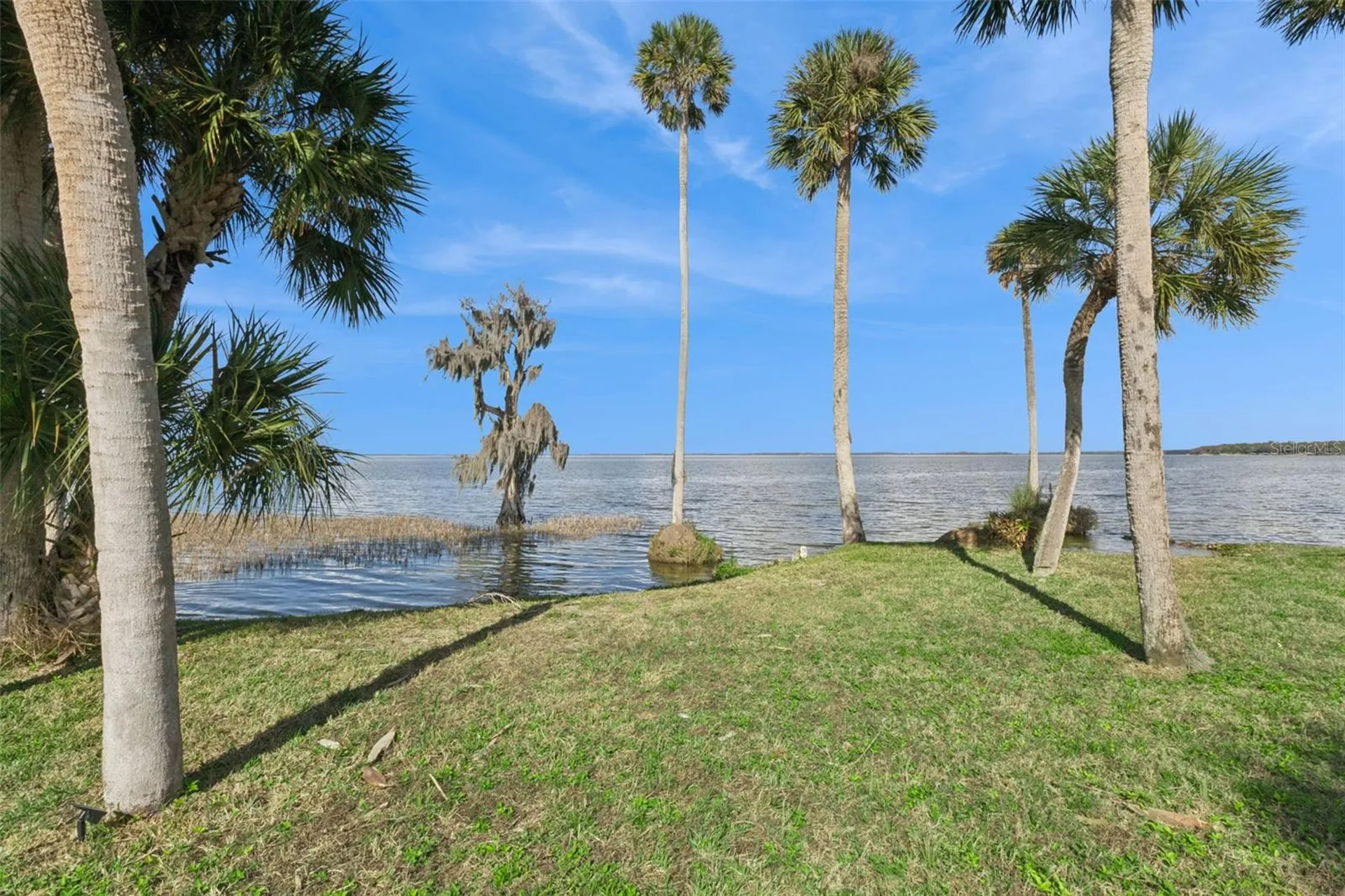 303 Waterwood Drive Yalaha FL 34797