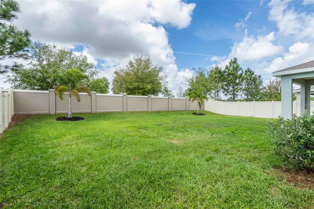 16620 Mooner Plank Circle Wimauma FL 33598