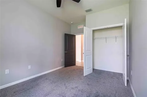 16620 Mooner Plank Circle Wimauma FL 33598