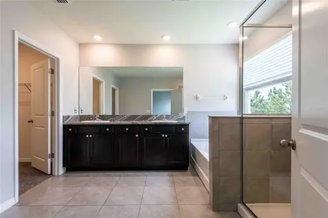 16620 Mooner Plank Circle Wimauma FL 33598