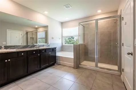 16620 Mooner Plank Circle Wimauma FL 33598
