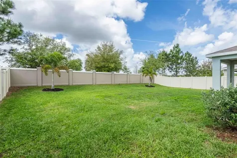 16620 Mooner Plank Circle Wimauma FL 33598