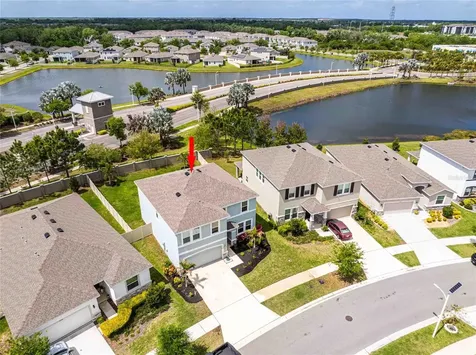16620 Mooner Plank Circle Wimauma FL 33598