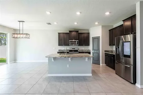 16620 Mooner Plank Circle Wimauma FL 33598
