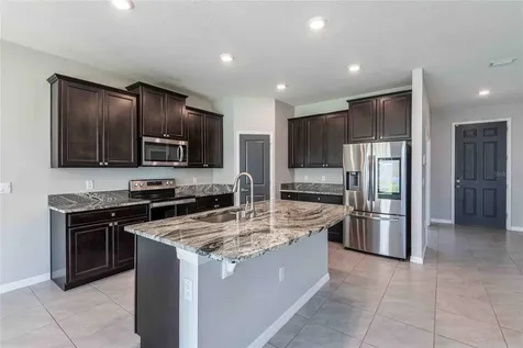 16620 Mooner Plank Circle Wimauma FL 33598